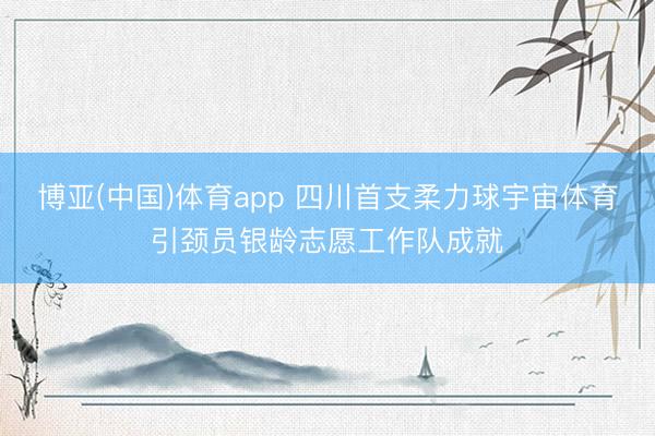 博亚(中国)体育app 四川首支柔力球宇宙体育引颈员银龄志愿工作队成就